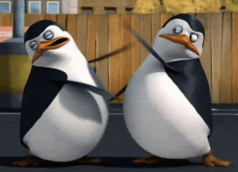 Penguins Pingki Penguin GIF – Penguins Penguin Pingki penguin – discover and share GIFs Madagascar Penguins Funny, Winken Gif, Penguin Gif, Funny Face Gif, Beste Gif, Animiertes Gif, Funny Short Video Clips, Dancing Animals