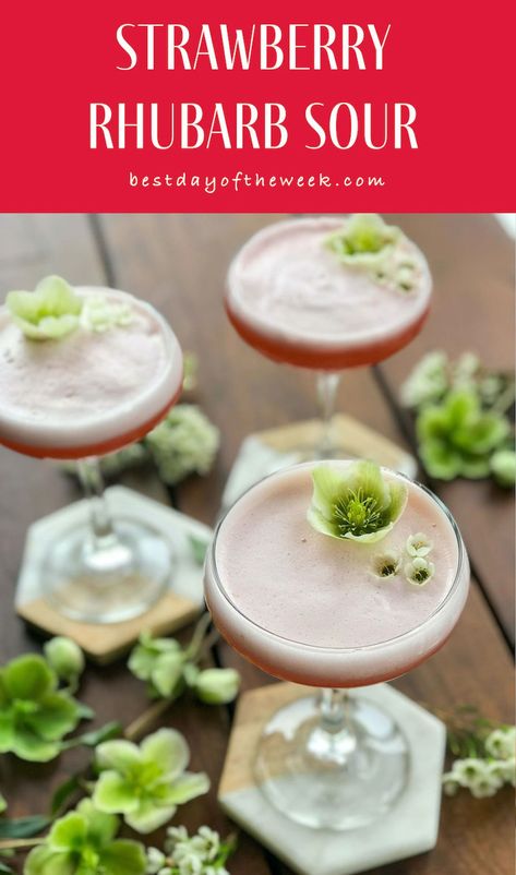 Strawberry Rhubarb Sour – Best Day of the Week Cardamom Simple Syrup, Rhubarb Liqueur, Flavour Combinations, Backyard Gathering, Rhubarb Gin, Gin Sour, White Strawberry, Summer Backyard, Strawberry Rhubarb