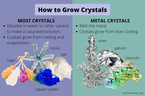 Diy Crystal Growing, How To Grow Crystals, Grow Crystals, Diy Crystal Crafts, Winter Stem Activities, Grow Your Own Crystals, Borax Crystals, Growing Crystals, How To Make Crystals