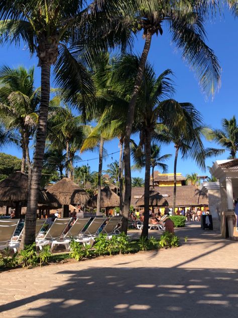 Pool at Iberostar Quetzal Hotal in Riviera Maya, Mexico Amazing Drinks, Fisher Island, Famous Beaches, Quiet Beach, Quintana Roo, Cozumel, Small Island, Water Activities, Tropical Vibes