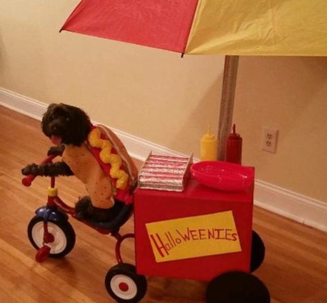 Wagon Costume, Dog Bday, Hot Dog On A Stick, Hot Dog Rollers, Hotdog Costume, Dog Cart, Happy Halloweenie, Well Mannered, Hot Dog Cart