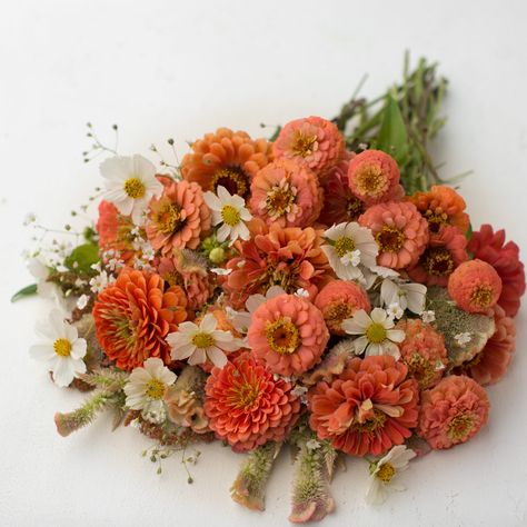 floret_seed-collection_creamsicle-mix_670b8969 Zinnia Bouquet, Bouquet Recipe, Usable Gifts, Seed Collection, Farm Gifts, Cut Flower Garden, Bouquet Arrangements, Tin Gifts, Amaranth