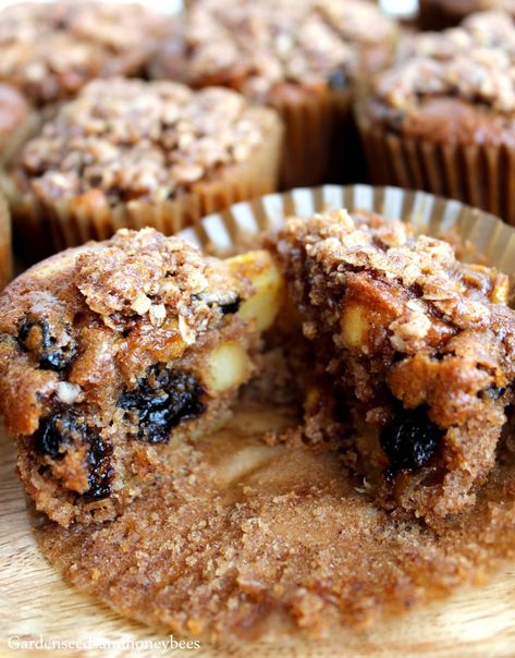 Fresh Apple Raisin Muffins - Garden Seeds and Honey Bees Refrigerator Raisin Bran Muffins, Apple Raisin Muffins, Carrot Raisin Muffins, Oatmeal Raisin Muffins, Raisin Bran Muffins, Raisin Muffins, Raisin Recipes, Bran Muffins, Apple Muffins