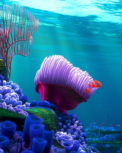 Finding Nemo Foto Macro, Disney Finding Nemo, Underwater Scene, Underwater Art, Ocean Treasures, Underwater Life, Waterpark, Finding Nemo, Ocean Creatures