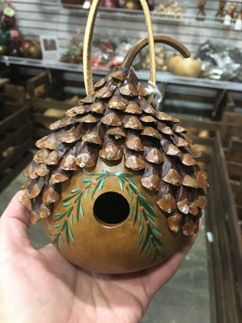 Bird House Gourds Ideas, Gourd Bird Feeders, Apple Gourds Ideas, Birdhouse Gourds Ideas Painting Patterns, Gourd Birdhouse Ideas, Gords Crafts Ideas, Birdhouse Gourds Ideas, Gourd Painting Ideas, Gourd Art Ideas