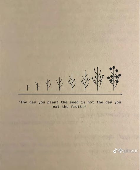 Learning To Grow Quotes, Planting Seeds Quotes Inspiration, I Am Growing Quotes, Plant Seeds Quotes, Plant Growth Quotes, The Day You Plant The Seed Quote, Grow Where You Are Planted, Plant The Seed Quote, Quotes For Growing