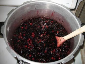 Juicing Berries and Making Jelly Aronia Berry Recipes, Wine Making Recipes, Making Jelly, Preserving Vegetables, Julia Childs, Currant Jelly, Aronia Berries, Jams And Jellies, How To Make Jelly