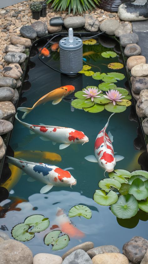 small indoor koi fish pond with lily pads and stones Greenhouse Fish Pond, Indoor Koi Pond Ideas, Small Koi Pond Ideas, Koi Fish Pond Ideas, Indoor Koi Pond, Lush Greenhouse, Fish Pond Ideas, Koi Pond Ideas, Small Fish Pond