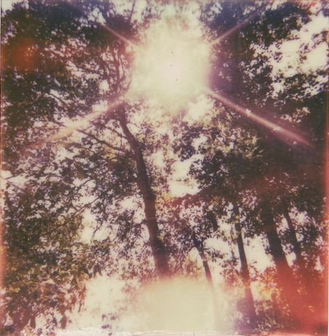 Flaming Stairway ☾ Film Aesthetic, Sunny Day, In The Woods, Pretty Pictures, Film Photography, We Heart It, The Sun, Vision Board, Trees