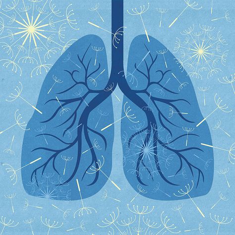 Lungs Illustration, Lungs Art, Abdominal Pain Relief, Respiratory Care, Whiteboard Animation, Vilnius Lithuania, Illustration Portfolio, Medical Art, Medical Illustration