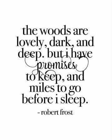 Robert Frost Quotes, Favorite Poems, Before I Sleep, Miles To Go, Robert Frost, Super Quotes, Ideas Quotes, Trendy Quotes, Literary Quotes