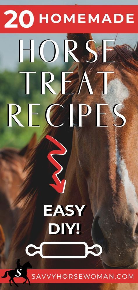 Horse Treat Recipes, Horse Treats Recipe, Horse Recipes, Horse Land, Homemade Horse Treats, Goat Playground, Trail Riding Horses, Recipe Printable, Smoothie Guide