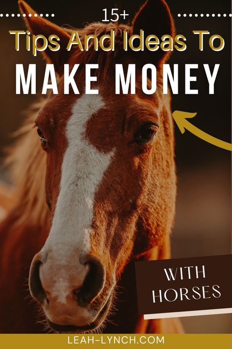 Working With Horses, Equine Business Ideas, Horse Business Ideas, Horse Business, Buy A Horse, Horse Lessons, Getting A Job, Homesteading Ideas, Horse Photographer