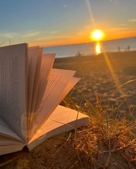 When im old and grey this is where youll find me #book #reading #sunset #booktok Find Me Book, Photo Ciel, Henry Emily, Books To Read For Women, Beach Read, Gold Book, Morning Sunrise, Beautiful Flowers Wallpapers, Book Reading