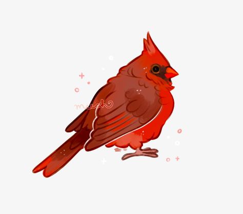 Cardinal Illustration, Cardinal Drawing, Northern Cardinal, Pottery Crafts, Wolf Art, Horse Art, Funky Art, Make Design, Do You Feel