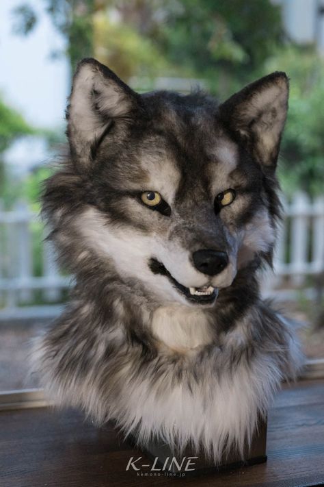 Realistic Wolf Fursuit, Semi Realistic Fursuit, Rat Fursuit, Realistic Wolf Mask, Realistic Fursuit, Wolf Fursuit, Werewolf Costume, Fur Suits, Camping With Cats