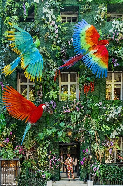 It comes ahead of it's annual Annabel's for The Amazon charity event, which takes place on 30 September Brazil Themed Party, Brazil Decorations, Annabels Mayfair, Brazil Decor, Bird Display, Brazil Party, Safari Crafts, Homecoming Decorations, Social Media Content Creator