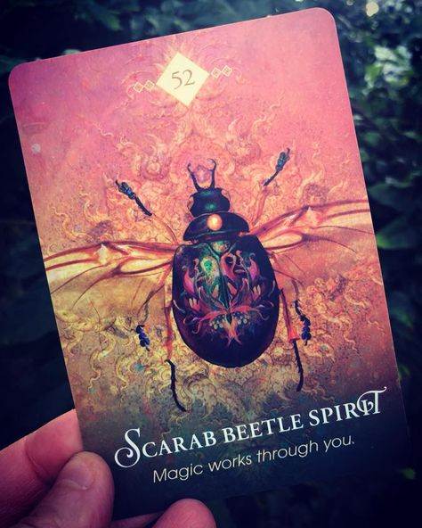 Scarab Beetle Meaning, Scarab Beetle Tattoo, Simple Meditation, Spirit Animal Meaning, Beetle Tattoo, Animal Meanings, Spiritual Animal, Animal Medicine, Egyptian Scarab