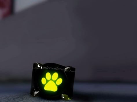 Creative Rings, Camping Trip Essentials, Cat Noir Adrien, Biker Photoshoot, Class 1 A, Blue Beetle, All For One, Trip Essentials, S Ring