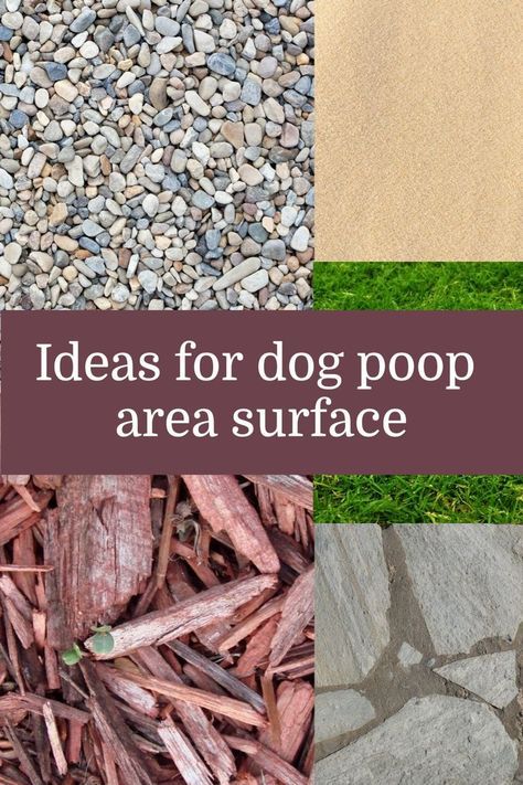 Outside Dog Bathroom Area, Dog Outside Potty Area Ideas, Dog Run Potty Area, Dog Area Ideas Outdoor, Dog Run Areas In Backyard, Small Backyard For Dogs Ideas, Dog Potty Area On Concrete, Small Outdoor Dog Potty Area, Fenced Dog Potty Area Outside