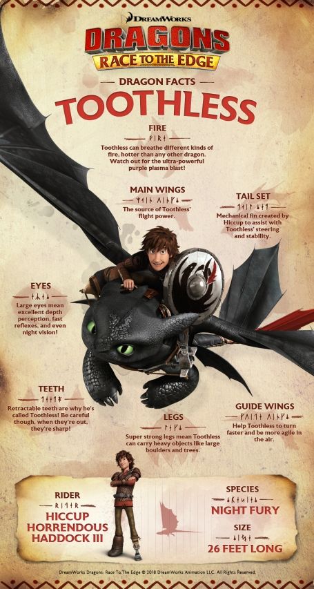 How To Train Your Dragon Names, How To Train Your Dragon Writing, Book Of Dragons Httyd, Httyd Dragons Species List, Httyd Book Of Dragons Pages, Hicks Und Astrid, Libro Gravity Falls, Dragon Facts, Dragons Riders Of Berk