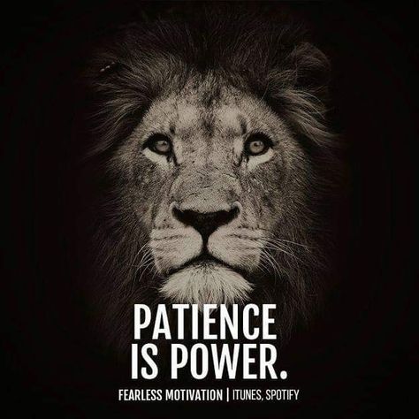 Patience is Power! What an awesome quote! Patience Is Power, Money Law Of Attraction, Secret Of Success, Earn Money Online Free, Respect Life, Patience Quotes, Law Of Attraction Love, Inspirational Qoutes, Still I Rise