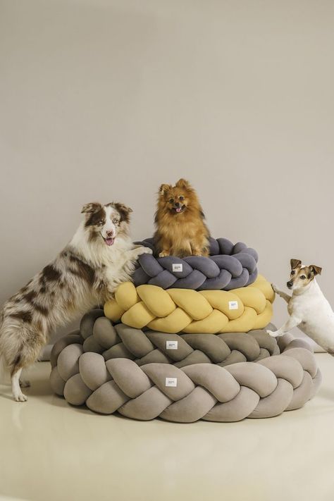 Pet Store Ideas, Stylish Dog Beds, Cute Dog Beds, Dog Accesories, Dog Store, Dog Safety, Dog Shop, Happy Animals, Pet Beds