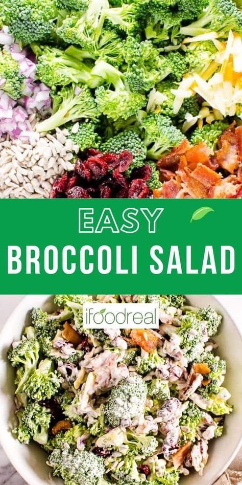 The Best Broccoli Salad combines fresh broccoli, crispy bacon, dried cranberries, sunflower seeds, shredded cheese and creamy dressing. This easy salad is the best of both worlds – healthier and flavorful. Shredded Broccoli, Best Broccoli Salad Recipe, Buffalo Chicken Pasta Salad, Easy Broccoli Salad, Healthy Broccoli Salad, Menu Sarapan Sehat, Healthy Broccoli, Resep Pasta, Salad Recipes Healthy Easy