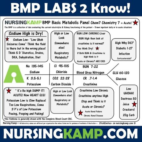 Did you know the BMP Labs are the top labs a nurse needs to know in their practice. In addition these are the most likely NCLEX  LAB Value you would be tested on From My Blood Book the labs you should know Free with Nursingkamp.com Lab Test Cheat Sheet, Cardiac Lab Values, Forensic Nursing, Clinical Instructor, Nursing Labs, Nursing Cheat, Brain Book, Nursing Life, Nursing Mnemonics