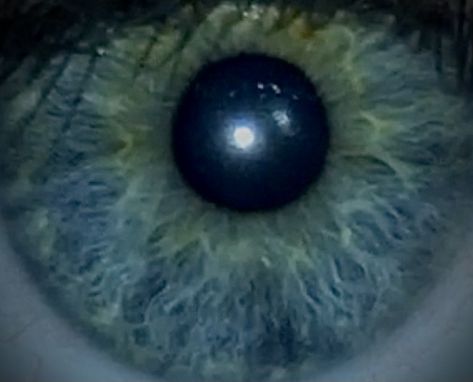 A closeup in detail photo of an eye the eye is green and blue with central hetrochromia Teal Blue Eyes, Bluish Green Aesthetic, Holly Core, Eye Closeup, Green And Blue Eyes, Body Blush, Mukuro Ikusaba, Eye Aesthetic, Turquoise Aesthetic