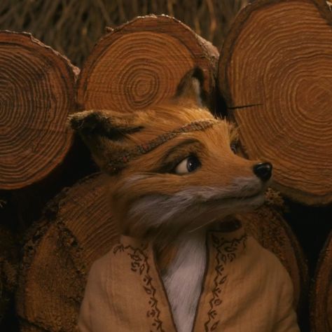 Fox Icon, Fantastic Mr Fox, Mr Fox, You Really, Fox