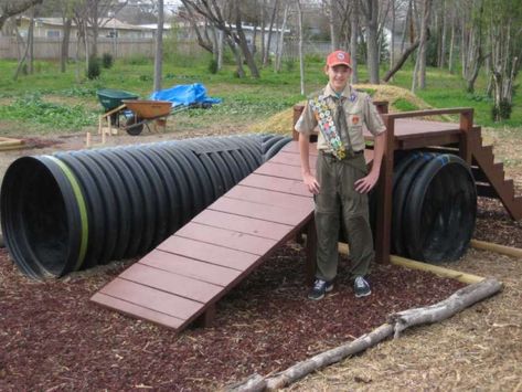 Backyard Dog Playground, Diy Dog Playground, Dog Backyard Playground, Puppy Playground, Dog Play Area, Dog Backyard, Dog Agility Course, Kennel Ideas, Eagle Project