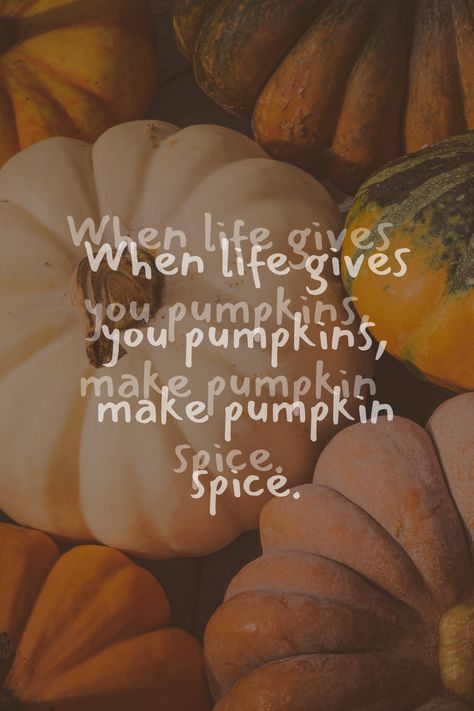 Quote "when life gives you pumpkins, make pumpkin spice"  over image of couple of pumpkins in multiple shades. Quotes About Pumpkins, Funny Pumpkin Spice Quotes, Advice From A Pumpkin Quote, Pumpkin Spice Season Quotes, Pumpkin Spice Quotes, Spice Quotes, Pumpkin Spice Everything Quotes, Pumpkin Spice Everything Nice, October Country