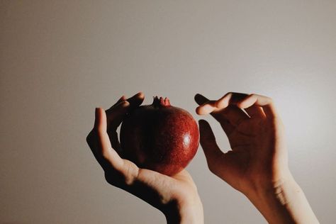 Hands Holding Pomegranate, Eating Pomegranate Reference, Woman Holding Pomegranate, Hand Holding Pomegranate, Hand Holding Fruit, Holding Pomegranate, Hand Holding Apple, Pomegranate Pictures, Zine Project