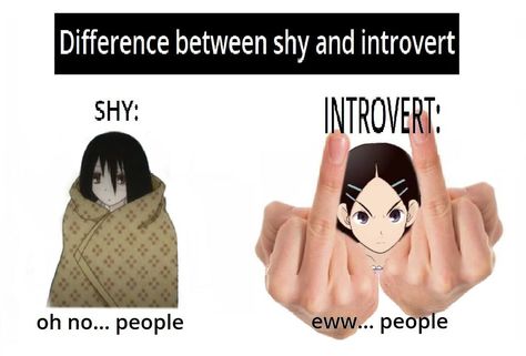 Introvert Meme, Zetsubou Sensei, Shy Introvert, Akira Anime, Shy People, Good Morning My Love, Four Horsemen, Introverted, Life Skills