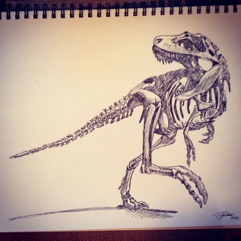 Dinosaur Skeleton Tattoo T Rex Tattoo, Bone Tattoo, Dinosaur Tattoos, Skeleton Drawings, Kunst Tattoos, Skeleton Tattoos, Dinosaur Drawing, Theme Tattoo, Dinosaur Skeleton