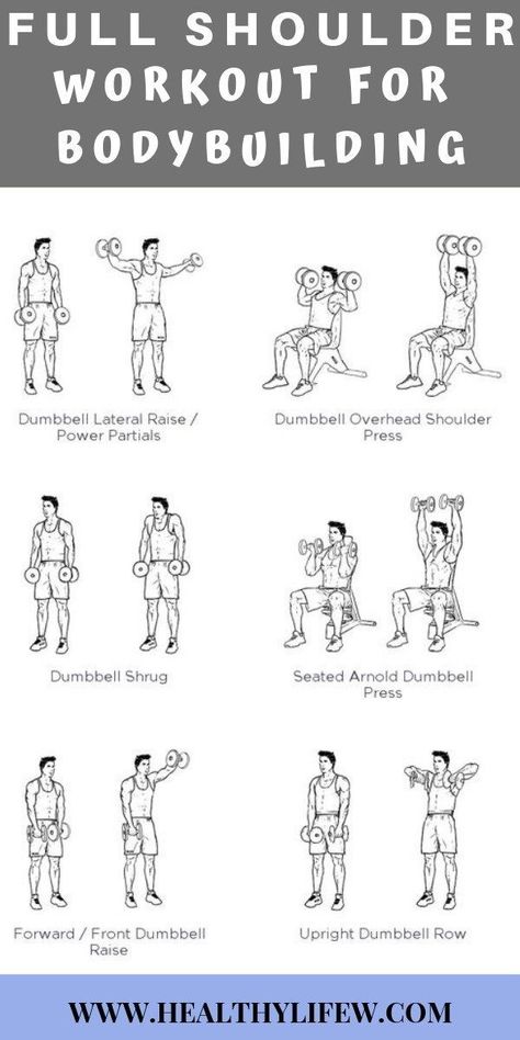 Full Shoulder Workout, Full Body Cardio, Transformation Fitness, Arm Workout Women, Dumbell Workout, Weight Training Workouts, Body Workout Plan, Chest Workouts, Biceps Workout