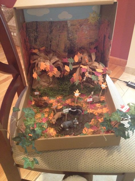 Forest Diorama Forest Diorama Ideas, Deciduous Forest Biome, Ecosystems Diorama, Forest Diorama, Biomes Project, Diorama Project, Diorama Kids, Diarama Ideas, Ecosystems Projects