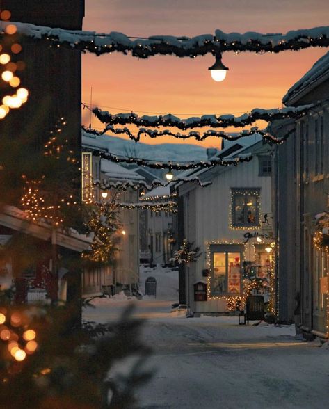 Dreamin Earth 🌍 on Instagram: “Christmas in Mosjøen, Norway 🎄 Photo by @mrca2 📸 #dreaminearth • • #christmas #xmas #winter #countdown #christmastree #christmastime…” Lacewings, Nordland, San Francesco, Days Until Christmas, God Jul, Europe Map, Tromso, Stavanger, Noel Christmas