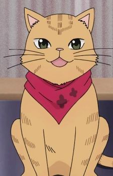 Cat Saiki, Pet Anime, What Is Anime, Netflix Anime, Saiki Kusuo, Black Wings, Anime Animals, Anime And Manga, Anime Cat