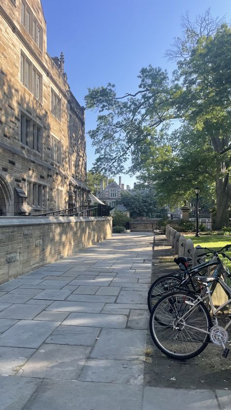 Old Money University Aesthetic, Yale Flag, Old Money University, Yale University Aesthetic, Yale Aesthetic, Yale Campus, Yale College, Campus Architecture, Aesthetic University