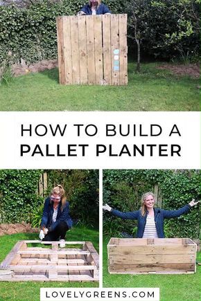 Acnh Yard, Pallet Planter, Diy Raised Garden, Pallet Garden, Pallets Garden, Vegetable Garden Design, Garden Boxes, Pallet Ideas, Garden Bed