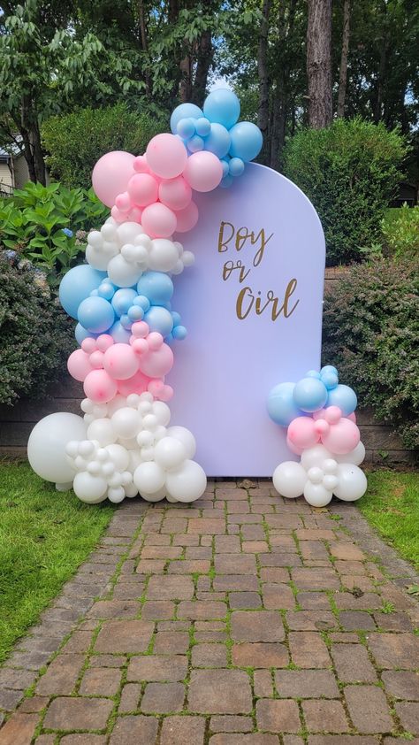 Baby gender reveal! Balloon Decorations Gender Reveal, Gender Reveal Ideas Donut Theme, Gender Reveal Ideas Soccer Theme, Tnt Gender Reveal, Gender Reveal Balloon Backdrop, Easy Gender Reveal Decorations, Gender Reveal Party Set Up, Gender Reveal Ideas For Party Simple, Boy Or Girl Decoracion