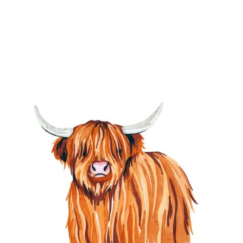 Sophie Brabbins - Highland Cow Cow Drawing Easy, Highland Cow Tattoo, Cow Sketch, Highland Cow Painting, Cow Wallpaper, Highland Cow Art, Cow Illustration, Cow Drawing, Scottish Highland Cow