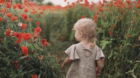 Girl Walking, Poppy Flowers, Poppy Field, Red Poppy, Free Stock Video, Editing Service, Poppy Flower, Flower Beauty, Belarus