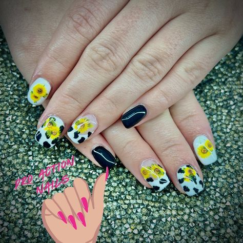 Sunflower's and Cow Print!!!!! Wow such a great mix! Acrylic Nails With Sunflowers, Nails With Sunflowers, Cow Print Acrylic Nails, Pink Cow Print, Sunflower Nails, Cow Nails, Pink Cow, Trunk Or Treat, Cow Print