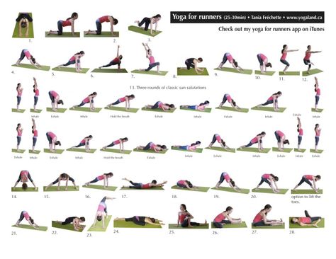 Fitness Friday: The Importance of Cross Training! Digestion Yoga, Yoga For Runners, Barre Pilates, Yoga Sequence, Yoga Posen, Friday Workout, Basic Yoga, Pilates Yoga, Free Yoga