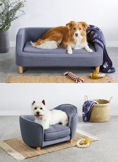 Aldi has launched these pet sofa beds earlier, and they were a huge success. Over again, these pet sofa beds are becoming available to customers. Critter Sitters, Cute Dog Beds, Pet Frogs, Elevated Dog Bed, Cama Pet, Pet Sofa Bed, Dog Couch, Pet Couches, Bed Dog