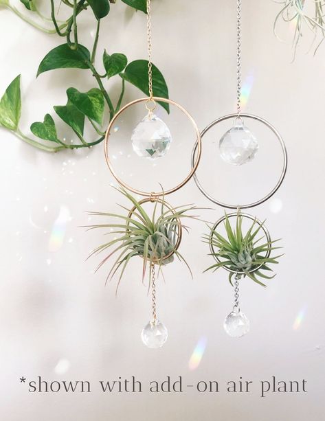 Aria Gold Suncatcher Air Plant Hanger Crystal Suncatcher - Etsy Cute Air Plant Holders, Crystal Air Plant Holder, Air Plant Suncatcher, Diy Crystal Hanging Decor, Hanging Air Plant Display Ideas, Hanging Crystals Diy, Air Plant Art, Clay Trinkets, Driftwood Seahorse