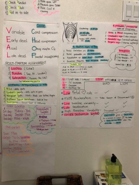 Gynecologist Notes, Sonography Student Study Obgyn, Nursing Ob, Maternal Nursing, Midwifery Student, Newborn Nursing, Nursing School Essential, Nursing Study Guide, Nclex Study